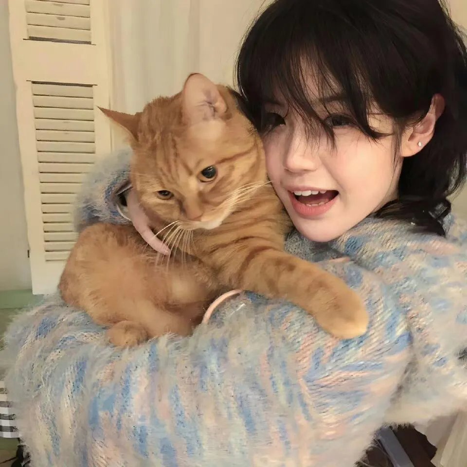 茉莉花开正当时